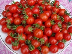 Калорийность помидоров черри - 16 ккал на 100 г