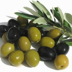 Маслины – это оливки высокой степени зрелости