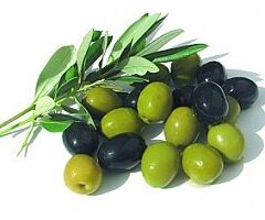 Оливки - плоды дерева семейства Маслиновых