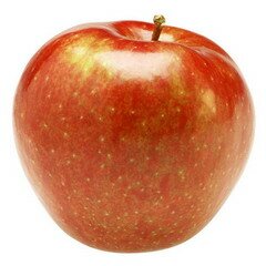 Яблоки – плоды яблони