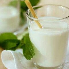 Овечье молоко — калорийный и питательный продукт