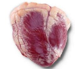 Свиное сердце - субпродукт, из которого готовят салаты, закуски, соусы и подливы
