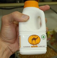 Верблюжье молоко - лекарство от заболеваний ЖКТ